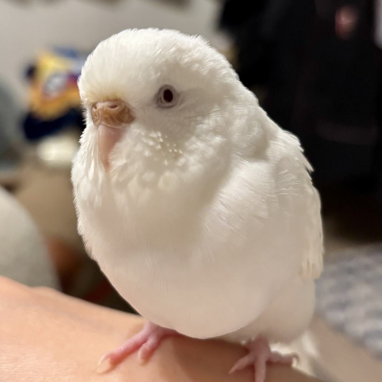 スーパー事務員Ｍ